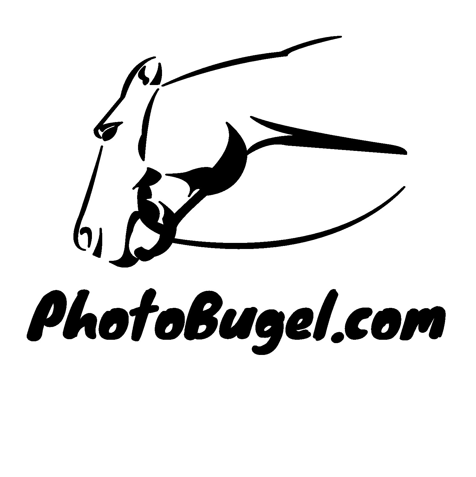 PhotoBugel.com
